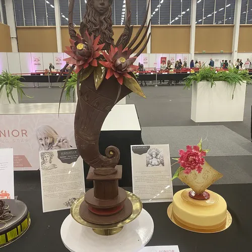 kkk24_pressebilder_junior-baking-star_otzelberger_messe-wels-2.jpg